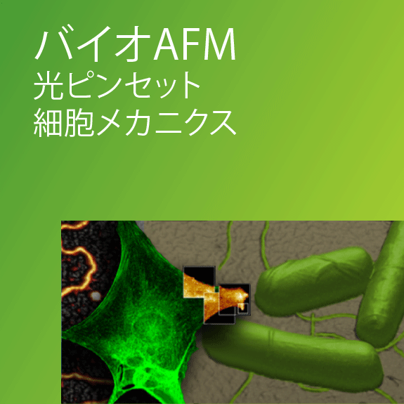 ライフサイエンス向けAFM_フォーススペクトロスコピー_光ピンセット