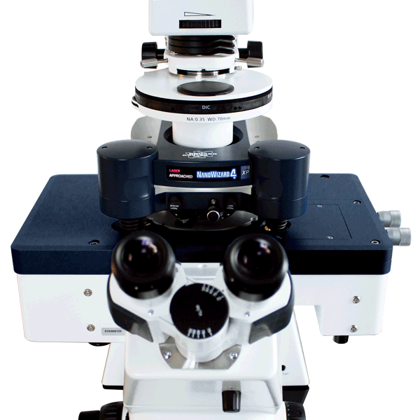 Dimension FastScan Bio AFM